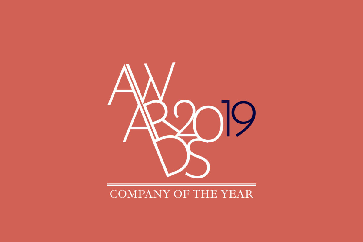 2019年奖项：年度最佳公司