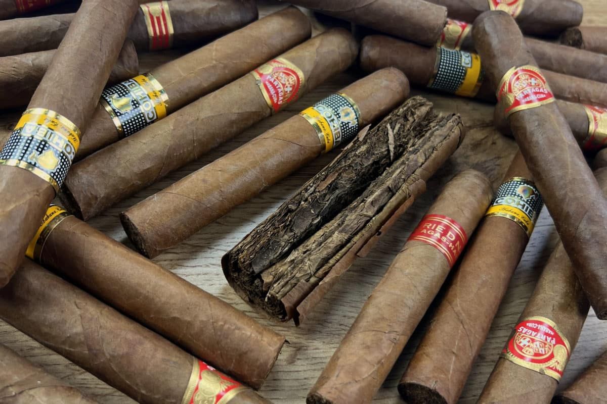 s50 cp blog gefälschte zigarren