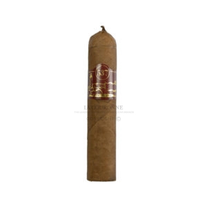 雪茄 537 gorditos (20)