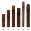offre découverte cigars 